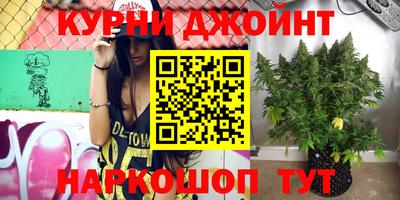 стаф Волжский