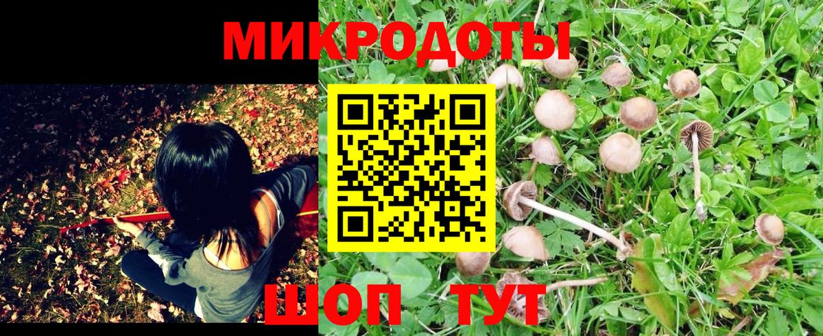 Псилоцибиновые грибы MAGIC MUSHROOMS  Вход с VPN  Псилоцибиновые грибы Psilocybe  сколько стоит  Октябрьский 