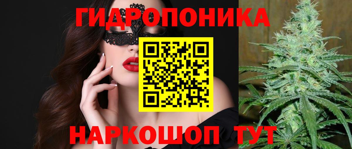 Бошки Шишки OG Kush  Каннабис White Widow  Октябрьский  Вход с VPN 